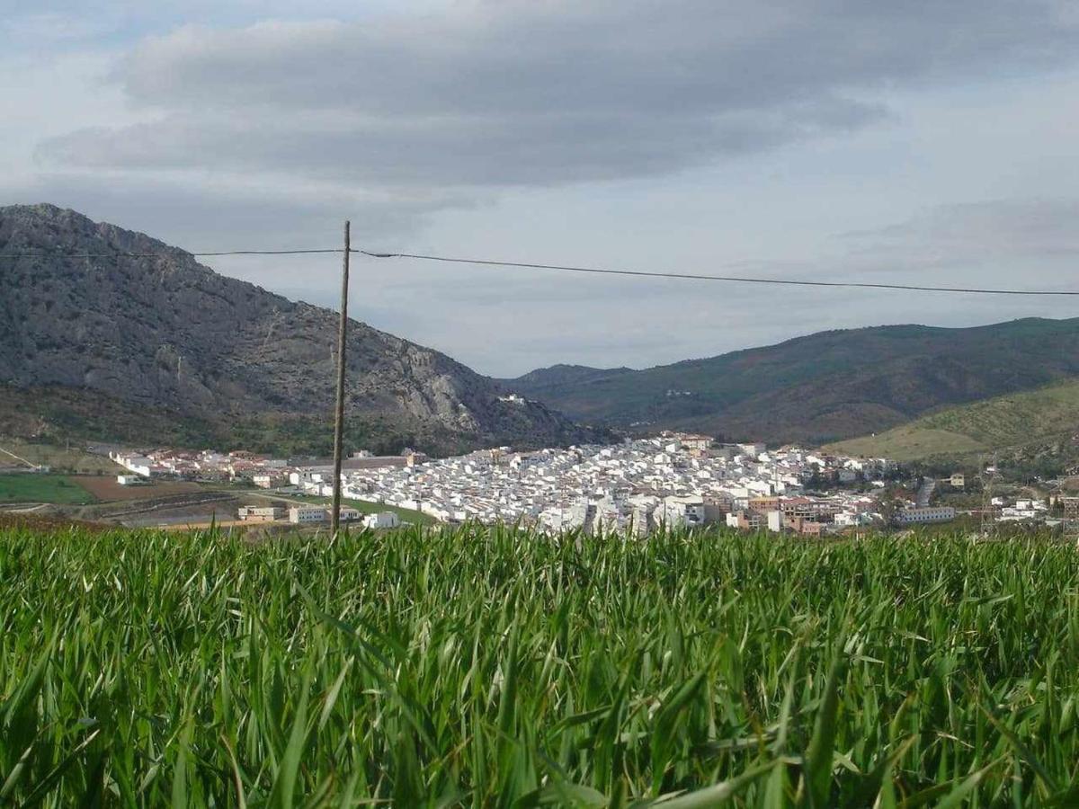 Vila Mirador De La Encina Valle de Abdalagís Exteriér fotografie